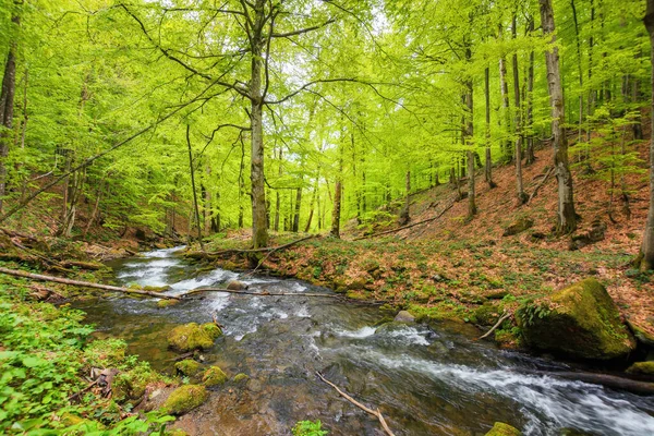 Sungai Hutan Antara Batu Pemandangan Pedesaan Musim Semi Keindahan Alam — Stok Foto