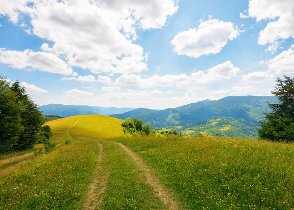 穿过乡村的田野和山丘上的草地 喀尔巴阡山乡村在夏天 山脉在远处 阳光灿烂的下午天气 — 图库照片