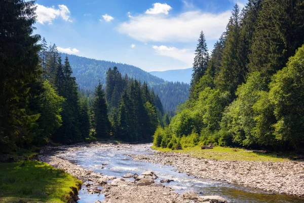 Krajobraz Wiejski Górską Rzeką Susza Lecie Katastrofa Ekologiczna — Zdjęcie stockowe