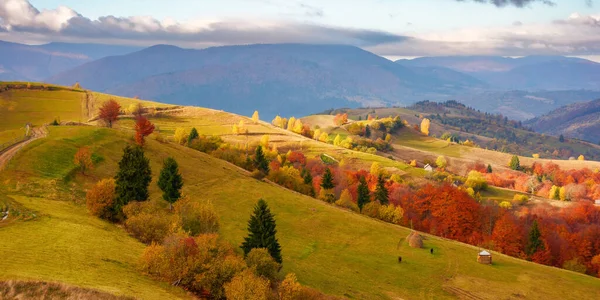 Fabulous View Carpathian Countryside Autumn Colorful Alpine Scenery Dappled Morning — Photo
