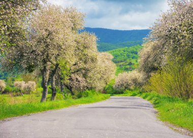 İlkbaharın güzelliği, bereketli tarlalar ve çiçek açan ağaçların arasından esen yol gibi kırsal kesimin manzaralı arka planında yakalanır. Yeşil tepeler ve görkemli dağlarla çevrili manzara.