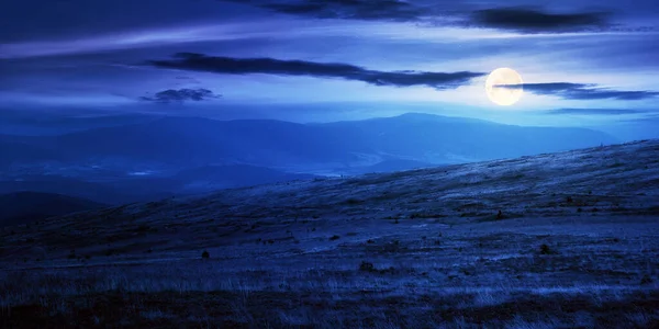 meadows of carpathian mountain at night. weathered grass on the hills in full moon light