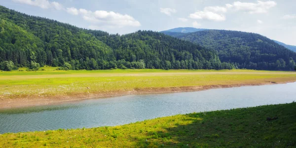 Dağ nehri manzarası. Karpatlar ekoloji felaketi. Plastik çöpler kıyıda