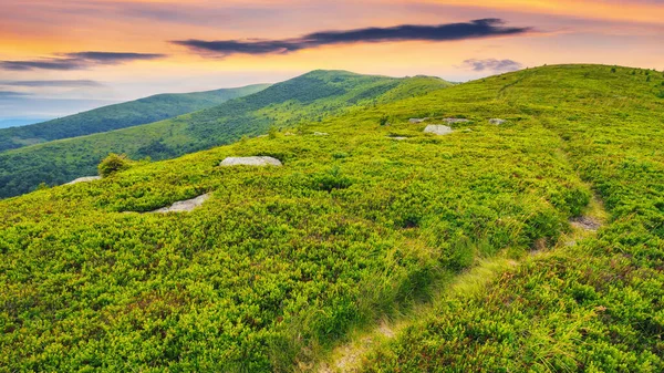 Wąska Uliczka Przez Wzgórze Górskie Letnie Krajobrazy Wiejskie Wieczornym Świetle — Zdjęcie stockowe