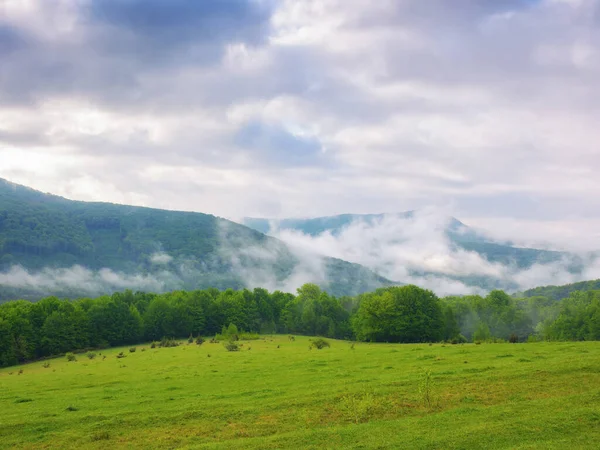 Countryside Mountain Landscape Green Meadows Forested Hills Spring Misty Morning — Stock fotografie