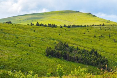 Tepeler ve çayırlar olan doğa manzarası. Karpatya kırsalının güzelliği. Yazın dağ manzarası
