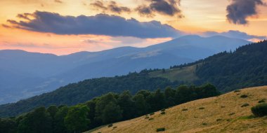 ukrainian highlands in summer. view in to the distant range. sunny sunset in mountains