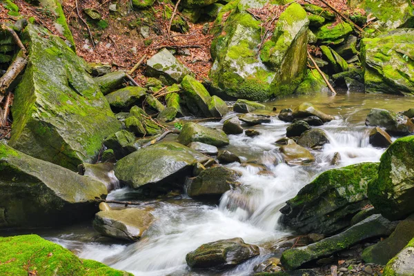 Moos Bedeckte Steine Bach Naturlandschaft Wald Fluss — Stockfoto