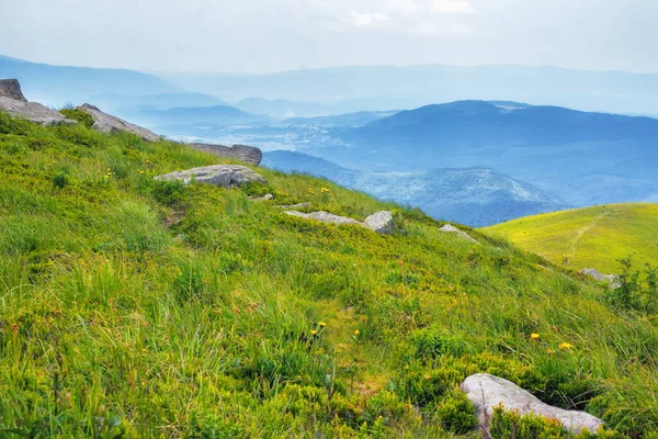 Karpatenwiesen Schöne Sommerlandschaft Der Ukraine Sonniges Wetter Mit Blauem Himmel — Stockfoto
