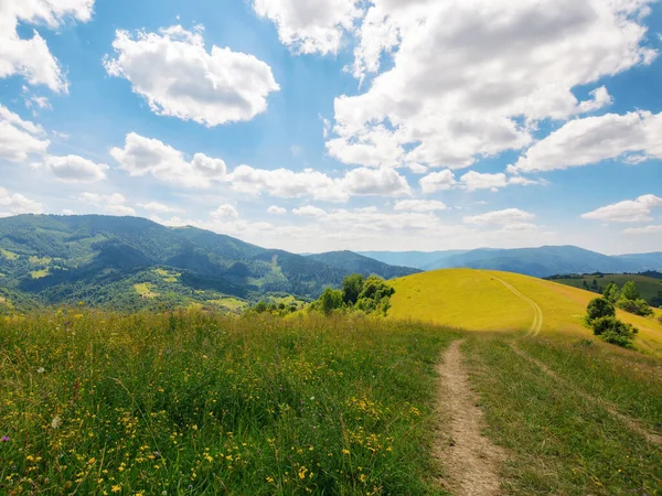 Ścieżka Przez Wzgórza Trawiaste Łąki Zwiedzanie Górzystej Krainy Zakarpacia Letnie — Zdjęcie stockowe