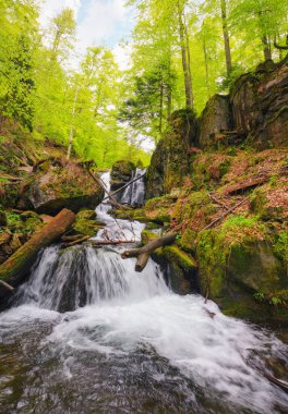 Ormandaki kayadan gelen şelale. İlkbaharda hızlı su akışı