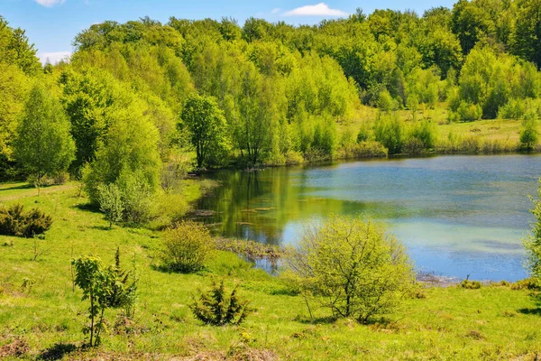 山地池塘的风景 在水面反射的森林 4月温暖的天气 — 图库照片