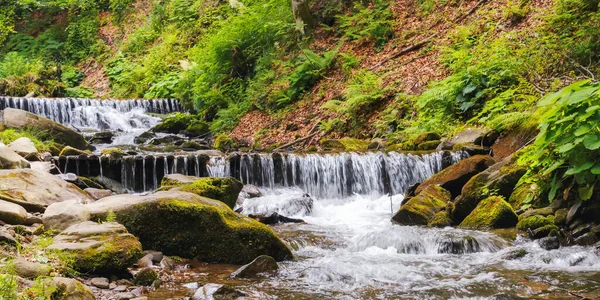 Potok Vody Lese Krajina Přírody Létě — Stock fotografie