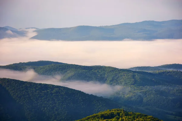 stock image view of green mountain forested hills in fog. dramatic clouds above the distant ridge