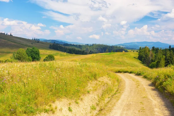 草の牧草地を通って車線 緑の丘の距離に転がり込む 地平線の遠くの山の尾根の上の青い空 夏の農村ツーリズムです ウクライナの田舎を探検する — ストック写真