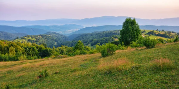 夏天的乡村山景 令人叹为观止的落日景色笼罩着山谷 起伏的山丘上长满了树木和草甸 — 图库照片