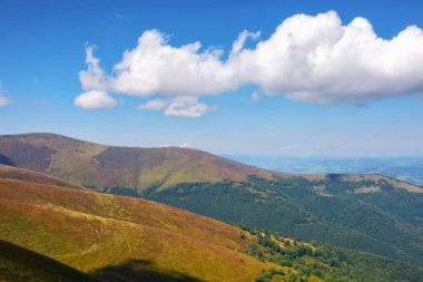 Dağlı doğa arka planı. Tepeleri ve çayırları olan renkli bir manzara. Sonbaharın başlarında güneşli bir gün. ukraine