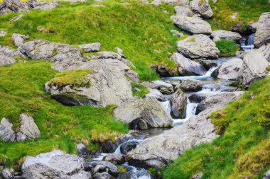 Tepedeki kayaların arasındaki dağ nehri. Yukarıdan görünüm