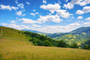 Ukrayna dağlarının tepelerindeki çimenli çayırlar. Karpatya kırsal bölgesinde sürdürülebilir yaşam