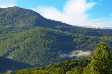 Gün doğumunda kırsal dağ vadisinde. Doğal yaz manzarası