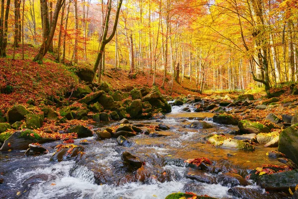Water Flow Stones Forest Beautiful Nature Scenery Autumn Trees Fall — Fotografia de Stock