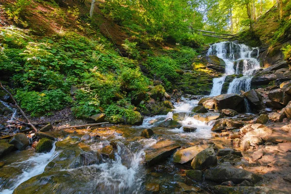 Vodopád Bukovém Lese Příroda Pozadí Slunné Letní Ráno — Stock fotografie