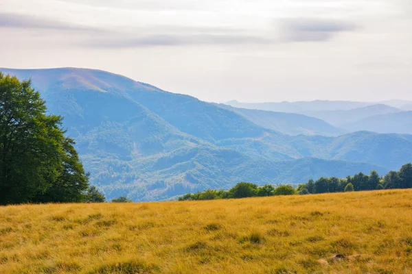Rural Landscape Mountains Pastures Rolling Hills Carpathian Mountains Sunning View — Stock Photo, Image
