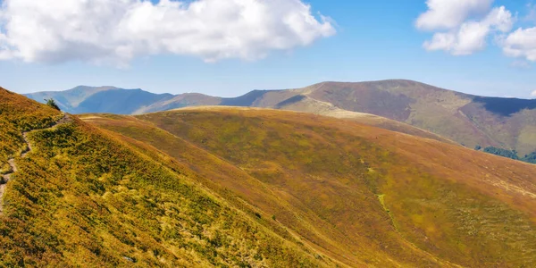 Yazın Sonlarında Dağlık Bir Manzara Sarı Turuncu Renkli Yuvarlanan Tepeler — Stok fotoğraf