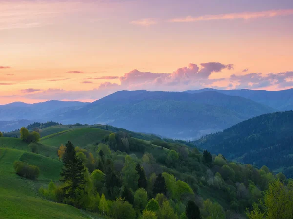 Weiden Van Karpaten Berg Landelijk Landschap Met Bomen Glooiende Heuvels — Stockfoto