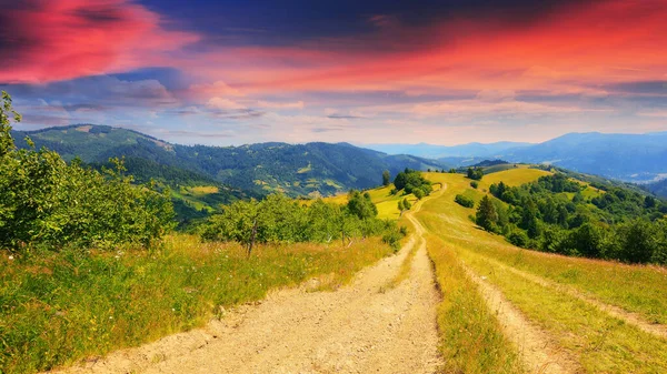 Weg Durch Hügel Und Wiesen Bergige Sommerlandschaft Bei Sonnenuntergang Bäume — Stockfoto