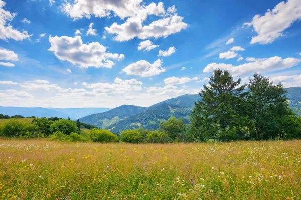 Mountain Landscape Grassy Meadow Trees Hills Rural Valley Distance Blue — Stock Photo, Image