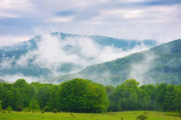 春天的喀尔巴阡山脉 长满青草的山上的树木和牧场 眺望遥远的山谷 多雾的寒冷天气 — 图库照片