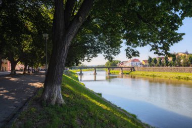 Nehir kıyısı, gün doğumunda. Avrupa 'nın en uzun ıhlamur yolu. popüler seyahat hedefi