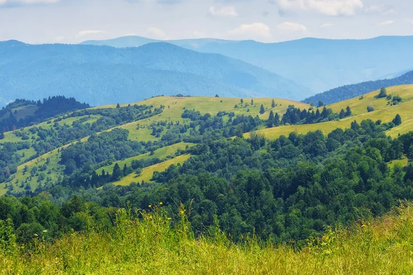 Uçsuz Bucaksız Tepeler Yeşil Tarlalar Görkemli Dağlar Karpatya Kırsal Alanının — Stok fotoğraf