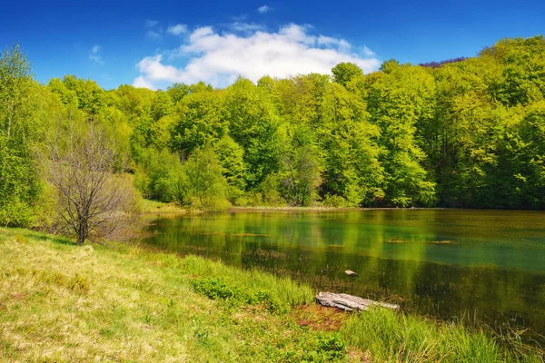 Пейзаж Парковым Озером Лес Холме Небом Пушистыми Облаками Теплая Апрельская — стоковое фото