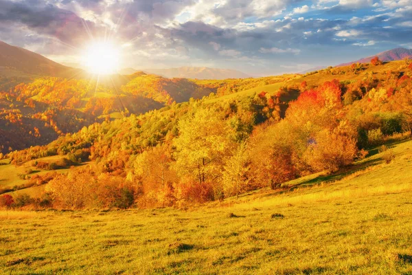 Günbatımında Güzel Sonbahar Dağ Manzarası Tepelerde Sonbahar Yapraklarında Ağaçlar Akşam — Stok fotoğraf