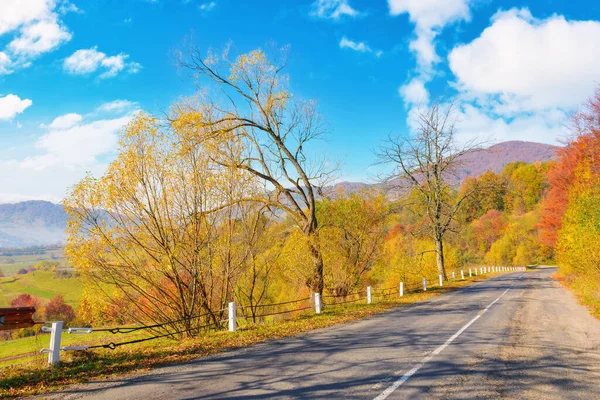 Countryside Road Autumn Mountainous Scenery Warm Sunny Day Forest Way — 图库照片