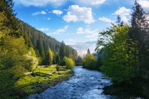 Górska Rzeka Mglisty Poranek Mgliste Krajobrazy Natury Wczesną Wiosną Drzewa — Zdjęcie stockowe