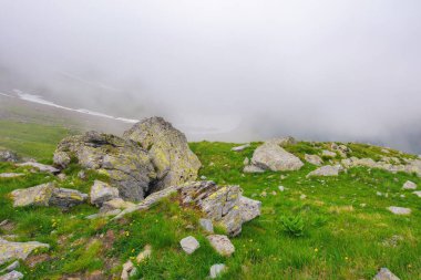 Dik tepedeki taşlar ve kayalar. Sisin içinde açık hava maceraları. Yazın Romanya 'nın dağlık toprağı