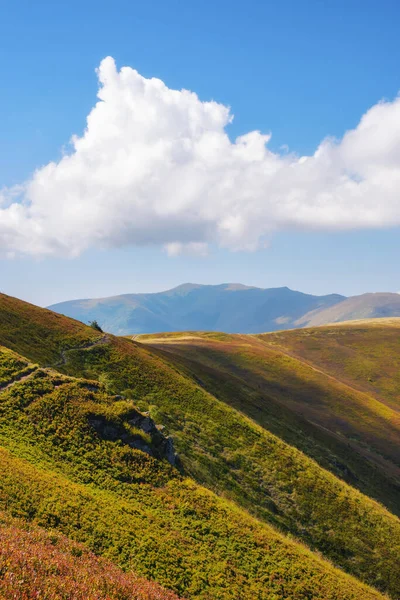 Καρπάθια Υψίπεδα Φθινοπωρινά Χρώματα Φόντο Της Φύσης Πολύχρωμους Αλπικούς Λόφους — Φωτογραφία Αρχείου
