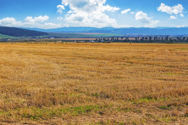 Picturesque Rural Landscape Farmland Scenery Slovakia Яскрава Сонячна Погода Влітку — стокове фото