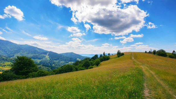 草原のある山の風景 丘の上の木や雲のある青い空の下の距離の田舎の谷 — ストック写真