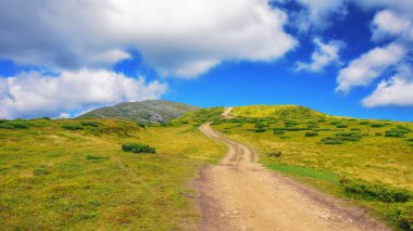 Kornohora dağ sırtı boyunca yol. Yuvarlanan tepeleri ve Transcarpathia 'nın dağlık çayırları olan güzel bir yaz manzarası. Ukrayna 'nın popüler seyahat hedefi
