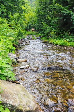 Nehirli kırsal alan. Yazın ferahlatıcı doğa manzarası