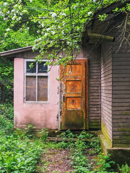 Vintage Door Windows Grunge Facade Abandoned Architecture Exterior — Φωτογραφία Αρχείου