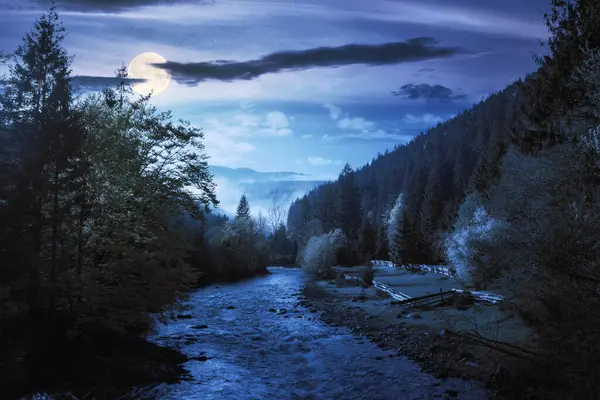 Krajobraz Wiejski Górską Rzeką Nocy Drzewa Wzdłuż Skalistego Brzegu Las — Zdjęcie stockowe