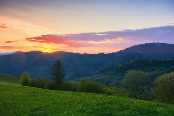 Mountain Landscape Grassy Meadow Rolling Scenery Carpathian Countryside Evening Light — ストック写真