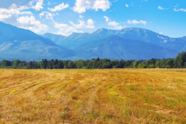 Slovakya 'daki manzaralı kırsal Tatra dağı manzarası. Vadideki tarım alanları