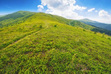 Yeşil tepe boyunca yürüyüş yolu. Yazın dağ manzarası. Ukrayna 'da kırsal turizm