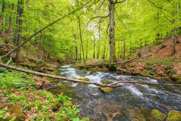 Córrego Floresta Entre Rochas Paisagem Rural Primavera Beleza Natureza — Fotografia de Stock